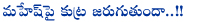 mahesh babu,allu aravind,allu aravind target on 1 nenokkadine movie,1 nenokkadine movie news,yevadu release in sakranthi,mahesh babu vs ram charan,ram charan again clash with mahesh babu,sai dharam tej,mega producer plans on mahesh babu movie